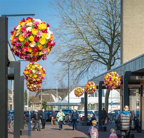 A Gorgeous Bright Floral Display That Transforms This Suburban Shopping