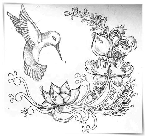 Pin by La Morenithaa Frechero on colibrí Pencil sketch images, Pretty