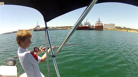 Stingray Fishing In Perth Youtube