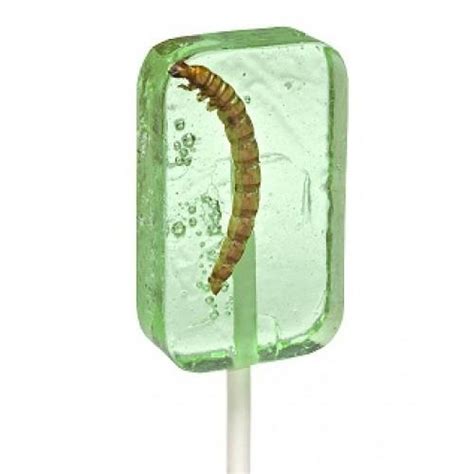 Worm Sucker In Apple Edible Insects