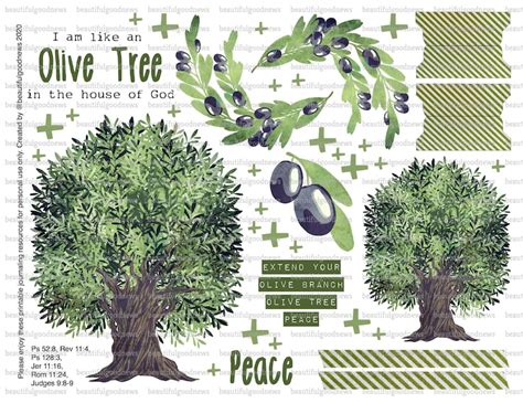 Olive Tree Trees Of The Bible Beautifulgoodnews Bible Etsy