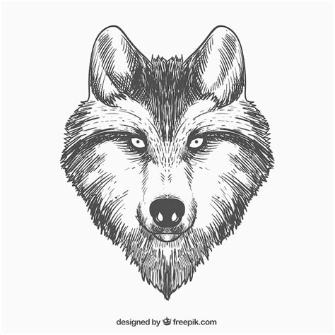 Zentangle Wolf Face