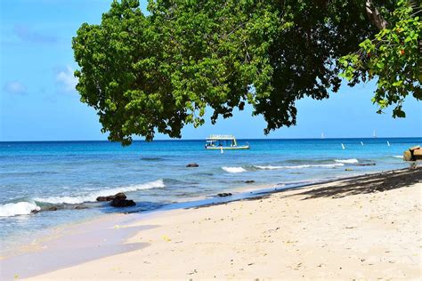 Snorkeling In Barbados Best Beaches To Snorkel Snorkel Around The World