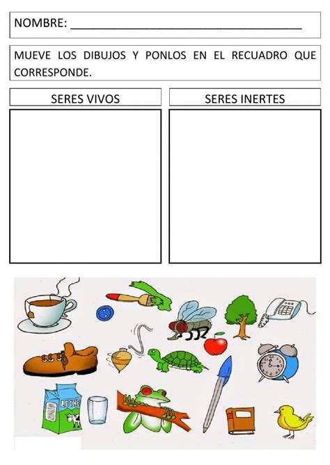 Spanish Worksheet With Pictures And Words For Children To Learn In The