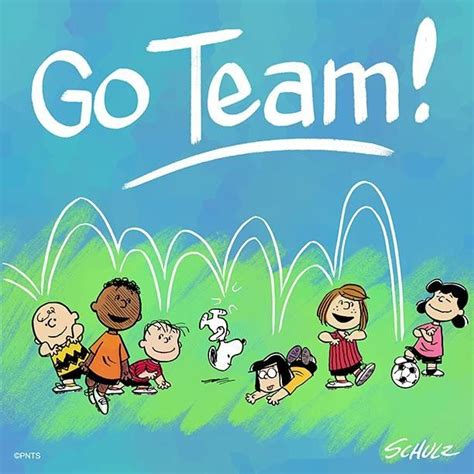 Go Team ⚽ Snoopy Cartoon Snoopy Comics Snoopy Pictures
