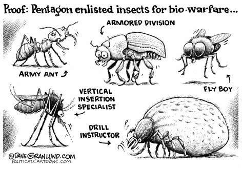 Pentagon And Insect Warfare The Independent News Events Opinion More