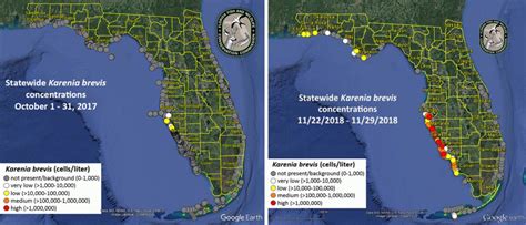Fwc Provides Enhanced Interactive Map To Track Red Tide Current Red