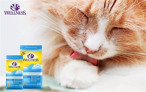 For most owners, a combination of both dry and canned foods is the ideal outcome. Wellness® Cat Food & Kitten Food | PetSmart