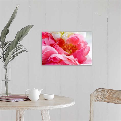 Close Up Shot Of A Pink Peony Wall Art Canvas Prints Framed Prints