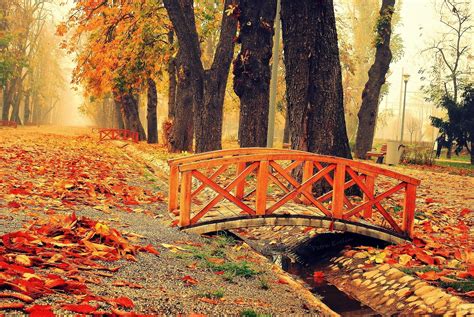 Bridge In Autumn Park Wallpaper And Background Image