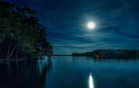 Wallpaper Forest The Sky Stars Night Nature Lake The Moon Images