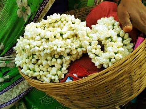 7 Crores For Madurai Malli Flower