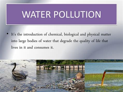 Ppt Pollution Powerpoint Presentation Free Download Id5616683