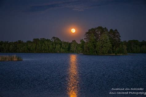 Nature Photography Strawberry Full Moon Northern Wisconsin Etsy