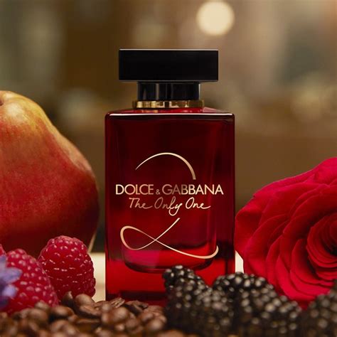 Dolce And Gabbana The Only One 人気特価激安 O Emainjp