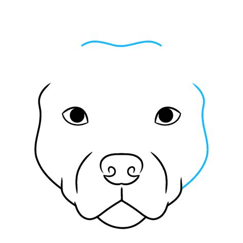 How To Draw A Pitbull Face Really Easy Drawing Tutorial