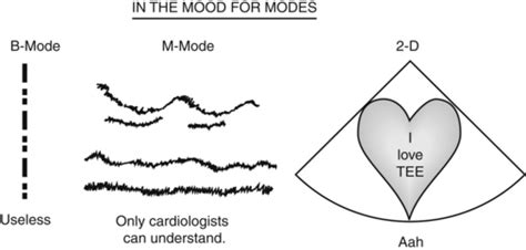 Principles Of Doppler Ultrasound Thoracic Key