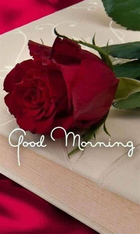 Pin By Geeta On Morning Greetings Good Morning Flowers Good Morning