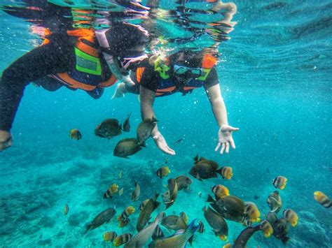 Snorkeling Di Nusa Penida Bali Dengan View Keren MS Nusa Penida
