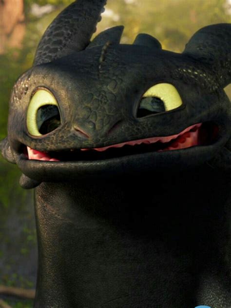 Toothless Expression Fandom