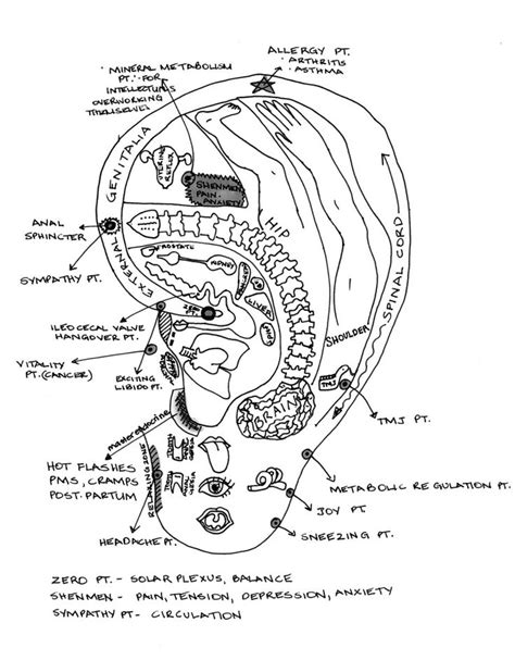 Ear Reflexology Map Ear Reflexology Reflexology Reflexology Points