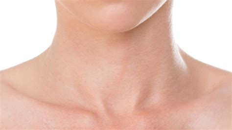 The 5 Most Plausible Theories As To What The Inside Of A Neck Looks Like Clickhole