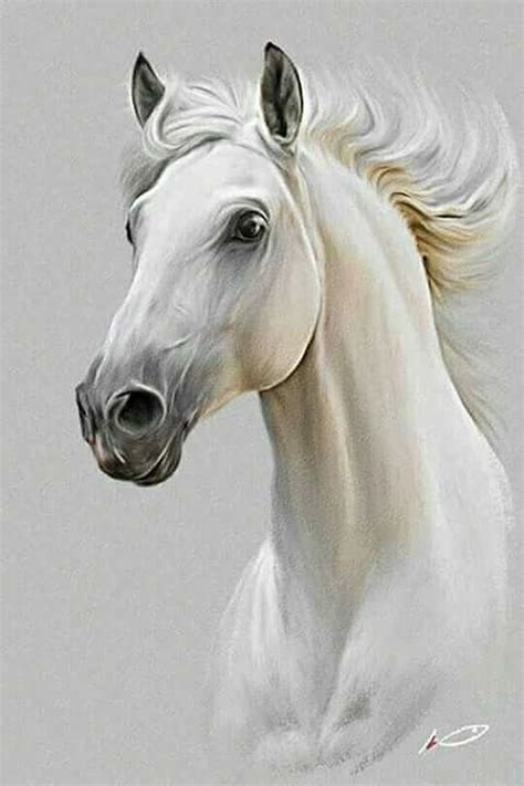 White Horse Painting By Vishal Gurjar Fine Art America