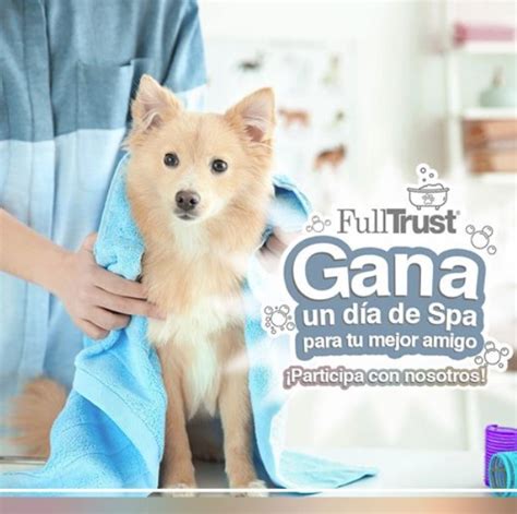 Concurso Fulltrust Día Del Perro Gana Un Día De Spa Para Tu Mascota