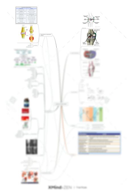 Solution Concept Map Of Osteoarthritis Vs Rheumatoid Arthritis Studypool