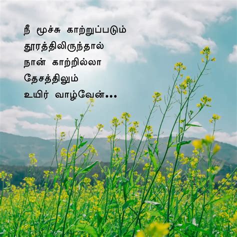 காதல் கவிதைகள் Love Quotes In Tamil