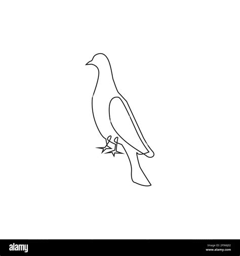 Line Drawing Pigeon Tattoopigeon Bird One Line Hand Drawing Continuous