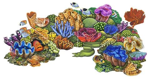 Water park in cancun the coral reef aquarium at xcaret , the only one of its kind will transport you to the depths of the caribbean sea. simple coral reef coloring pages - Google Search | Art ...