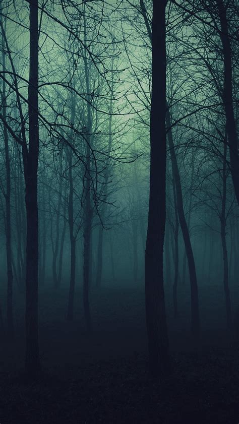 Dark Forest Iphone Wallpapers Free Download