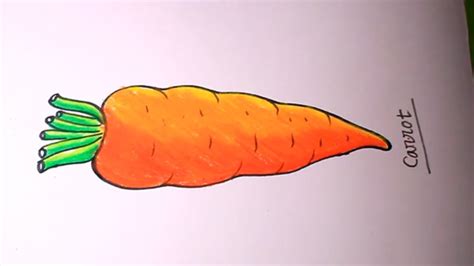 How To Draw Carrot Step By Step Easycarrot Drawing Youtube