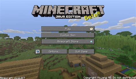 Minecraft Java Edition Boopic