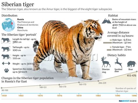 Barbary Lion Vs Siberian Tiger Page 2 Sports Hip Hop And Piff The Coli