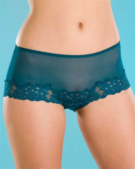 New Ladies Camille Sheer Lace Womens Lingerie Underwear Knickers Boxer