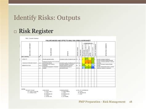 Pmp Risk Management