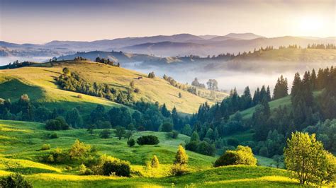 Mountains With Tall Green Trees Forest Grass Mountains Mist Hd