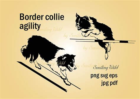 Border Collie Hond Agility Svg Clipart Vector Grafische Kunst Etsy