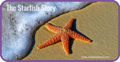 They typically have a central disc and five arms, though some species have more than this. The Starfish Story - CHEW Initiatives with Claire Wilson
