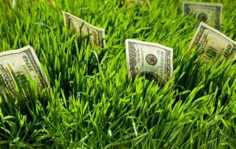 The cost for lawn care services depends on a number of factors, including where you live, the size of your lawn and exactly what you want to have done. How much do you charge for your services? - Lawn & Landscape