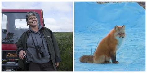 16 Things That Happened Behind The Scenes Of Life Below Zero