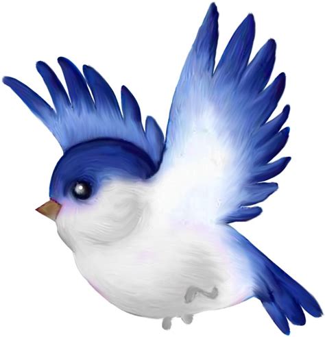 81 Best Cartoon Birds Images On Pinterest Bird Clipart