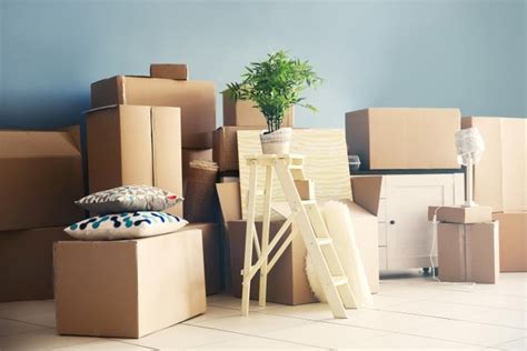 How To Make Your Moving Day Run Smoothly Trionds