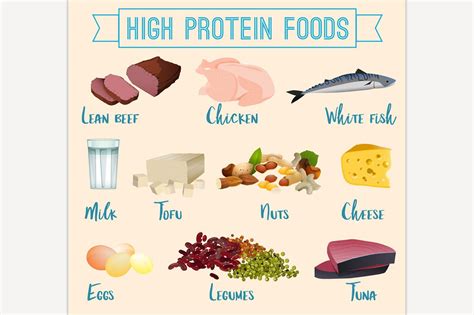 All about the protein food group. High protein foods set | Custom-Designed Illustrations ...