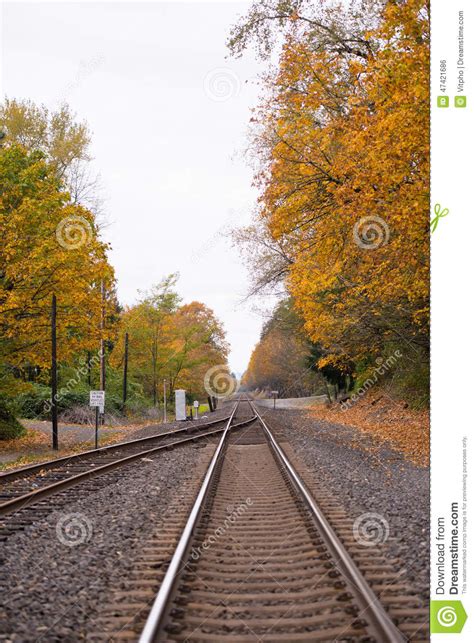 Railroad Going Into The Beautiful Yellow Autumn Stock Photo Image Of