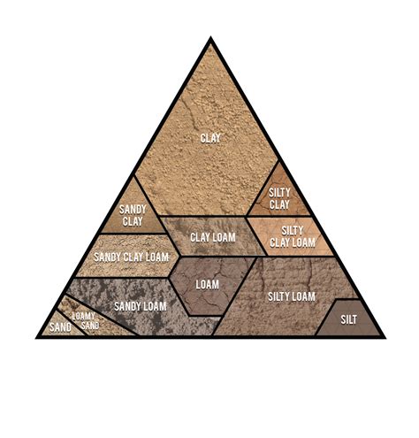 Soil Types Vector Illustration Labeled Educational Triangle Pyramid