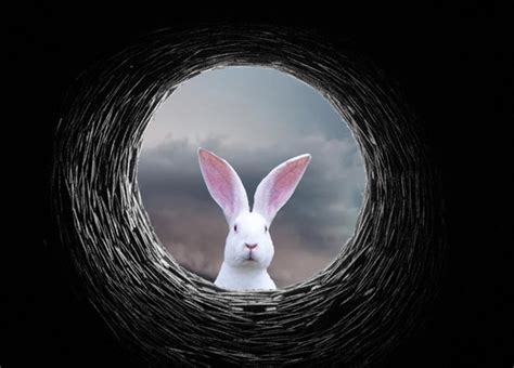 Rabbit Hole DempseyMasiha