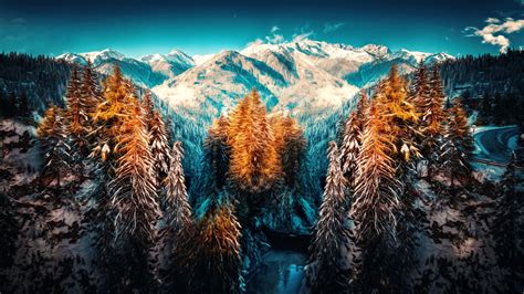 Snow Landscape Mountains Trees Forest 4k Trees Wallpapers